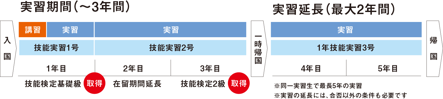 実習の流れの図